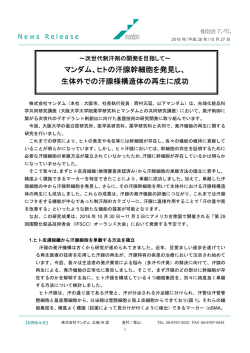 マンダム、ヒトの汗腺幹細胞を発見し、 生体外での汗腺様構造体の再生