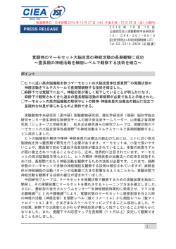 覚醒時のマーモセット大脳皮質の神経活動の長期観察に成功 ～霊長類