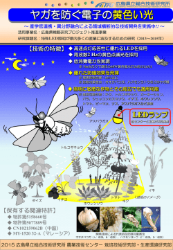 ヤガを防ぐ電子の黄色い光