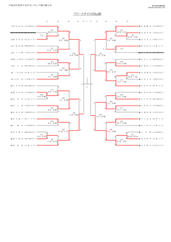 フリースタイル65kg級