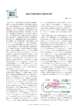 北から南から