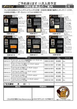 HGW新商品ご案内b 2016.10.24