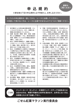 規約 &rArr; PDF