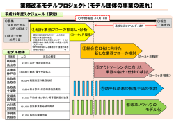 業務改革モデルプロジェクト（モデル団体の事業の流れ）