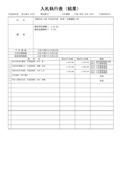 松澤一号橋不落 HP公表用
