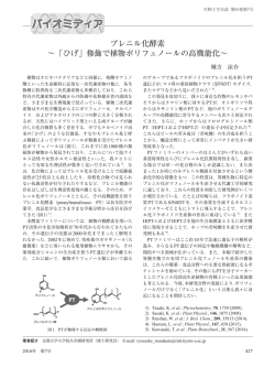 プレニル化酵素 &sim;「ひげ」修飾で植物ポリフェノールの高機能化&sim;