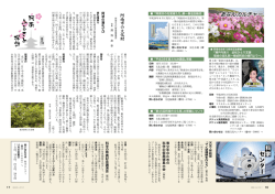 あなんカルチャー・阿南ふるさと探訪