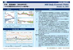 MRI Daily Economic Points