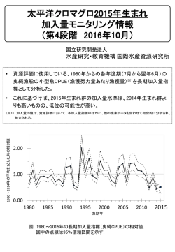 太平洋クロマグロ2015年生まれ 加入量モニタリング情報（第4段階 2016