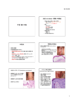 講義資料1