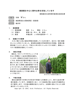 葉菜類を中心に周年出荷を目指しています