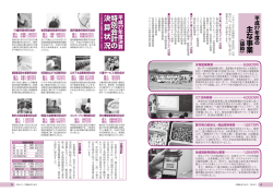 主な事業 特別会計の決算状況