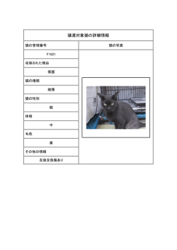 譲渡対象猫の詳細情報
