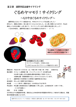 資料(3)-2チラシ（PDF：359KB）