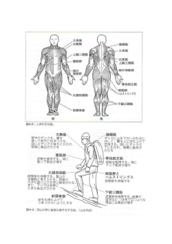 姿勢を維持する『ー 特に 下りで負担が増す 足先請持ち上げ つまつかないよ