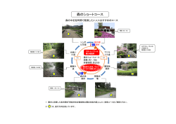 森のショートコース
