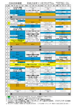 一般公開プログラム 11月（PDF：137KB）