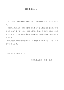 議長コメント （PDF : 70KB）