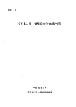 下北山村橋梁長寿命化修繕計画（PDF）