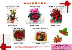 《シンピジューム鉢》 《シクラメン鉢》 《薔薇のアレンジメント》 《赤色の花束