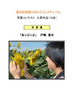 平成28年度ひまわり写真コンテスト入賞作品（PDF:1496 KB）
