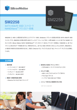 SM2258 - Silicon Motion