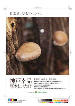 Page 1 毎日の「しあわせ」のために 用 ] \｡ 口 ギ 口口 家族そろってタ飯を