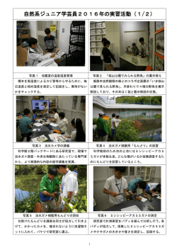 自然系ジュニア学芸員2016年の実習活動（1/2）