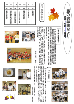 藤の実だより