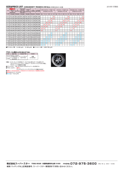 16lh_sizeprice_pl_reise
