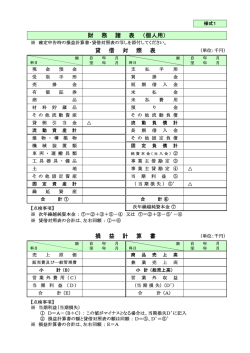 貸 借 対 照 表 損 益 計 算 書 財 務 諸 表 （個人用