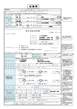 記 載 例