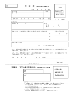 履歴書 (PDF形式, 100.88KB)