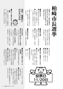 （別ウィンドウで開きます）（PDF：3413KB）