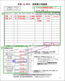 医療費 明細書6