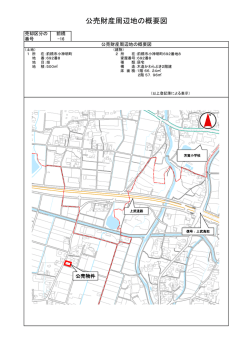 公売財産周辺地の概要図