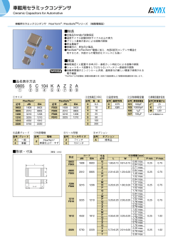 カタログデータ(PDF/243.4KB)