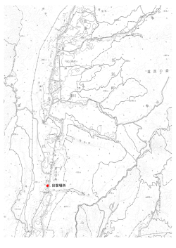 目撃場所