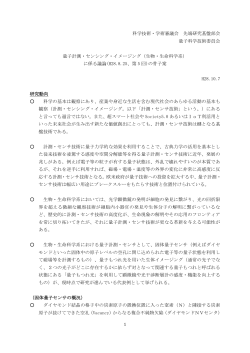 科学技術・学術審議会 先端研究基盤部会 量子科学技術委員会 量子