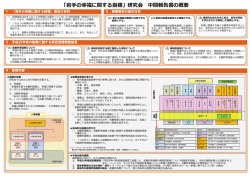 中間報告書の概要 （PDFファイル 333.1KB）