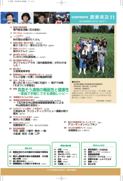 見直そう漬物の機能性と健康性