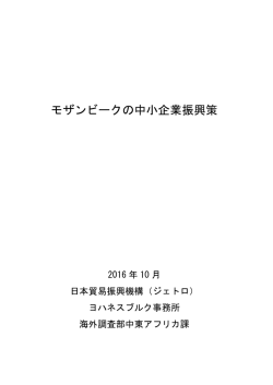 モザンビークの中小企業振興策