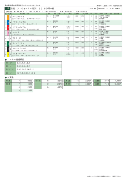 11R 日高エア・ウォーター特別 B3 サラ系一般 コーナー