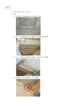 別紙1 ネズミ侵入可能口は以下のとおり。 1 豚舎 （1）屋内豚房、屋外豚