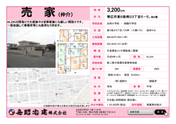 印刷する（PDF表示）