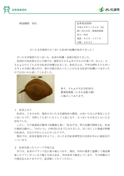（平成28年11月4日記者発表)さいたま市発祥のさつまいも紅赤の収穫が