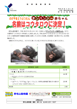 野毛山動物園 - 公益財団法人 横浜市緑の協会