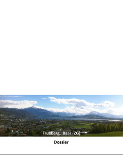 Dossier - homegate.ch