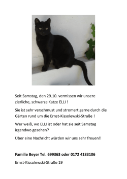 Informationen - in Hohnstorf