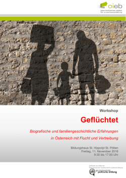 Infoblatt zum - &Ouml;sterreichisches Institut f&uuml;r